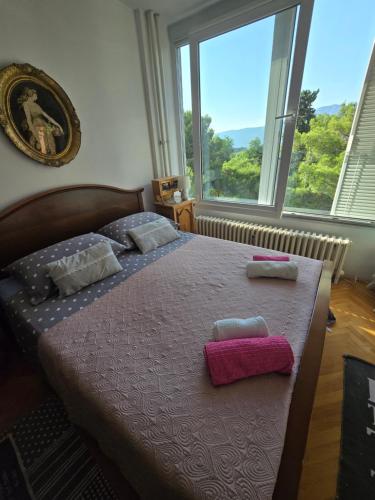 Blue Sea View Apartment