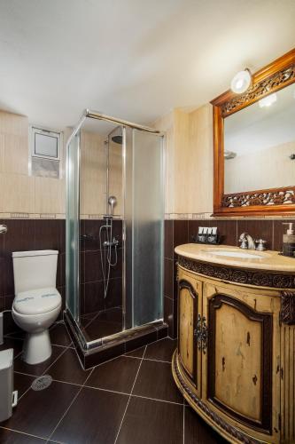 a bathroom with a shower and a toilet and a sink at Astrio Suites in Livadion