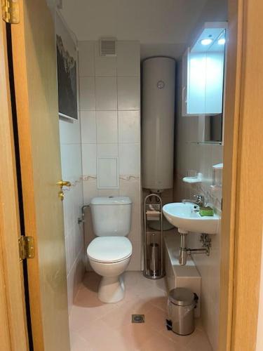 a small bathroom with a toilet and a sink at South Mountain Apartment in Razlog
