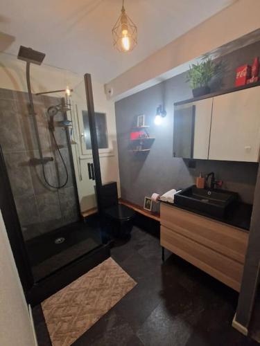 une salle de bain avec douche et lavabo dans l'établissement Le 11 un écrin dans Colmar, à Colmar