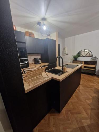 une cuisine avec un évier et un plan de travail dans l'établissement Le 11 un écrin dans Colmar, à Colmar