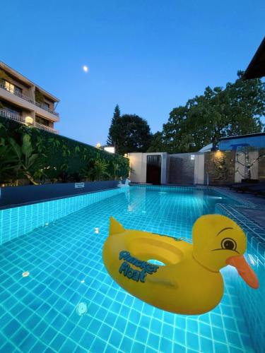 a yellow rubber duck floating in a swimming pool at patong v hotel in Patong Beach