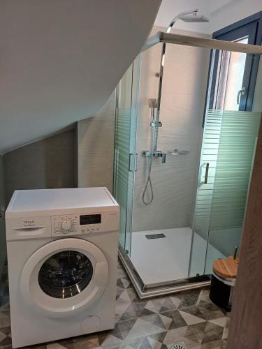 a washing machine in a bathroom with a shower at Agrilia in Lefkada