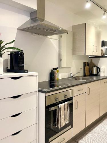 Dapur atau dapur kecil di Cozy studio apartment at Tomasjord