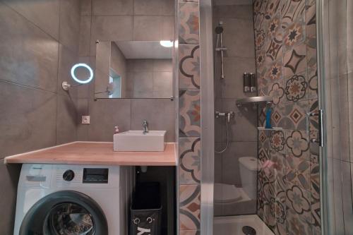 une salle de bain avec une machine à laver et un lavabo dans l'établissement la terrasse du coislin, à Metz