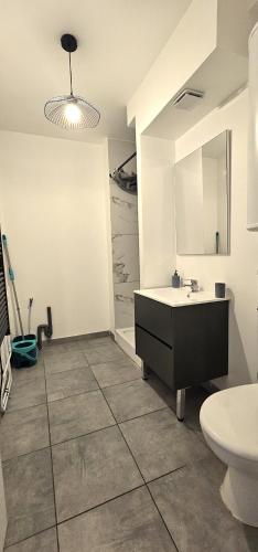une salle de bain avec un lavabo et des toilettes dans l'établissement Appartement mi-troglodyte 4 a 6 personnes de 75 m, à Orléans
