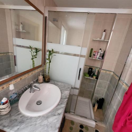 a bathroom with a sink and a shower at Habitación en centro de Alicante in Alicante