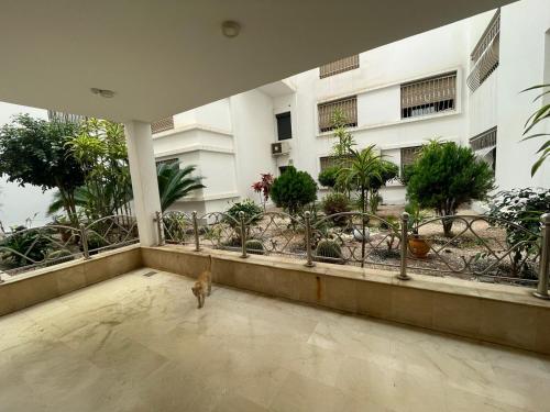 Κήπος έξω από το Duplex luxe in Agadir