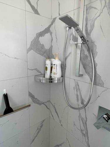 a shower with a shower head in a bathroom at Coastal Sanctuary in Christchurch