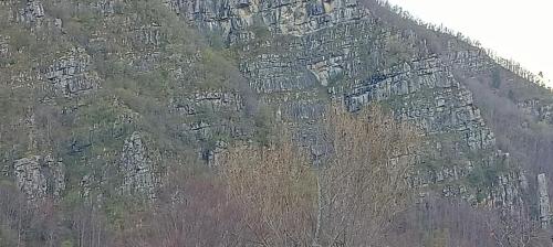 a rocky mountain with trees in front of it at Lodge Pizzo Alpestre in Abetone
