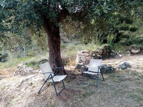 two chairs sitting in front of a tree at El Cubo de Sebastián in Olba