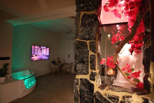 Aphrodite Suite Romantic Jacuzzi & Fireplace