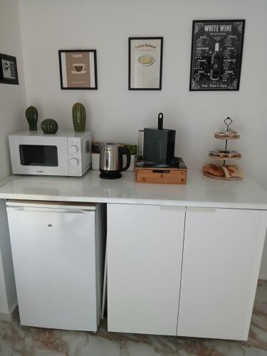 Kuchyň nebo kuchyňský kout v ubytování Chic Flat