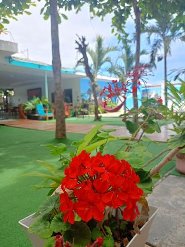Zahrada ubytování Galápagos Isabela Hotel Loja