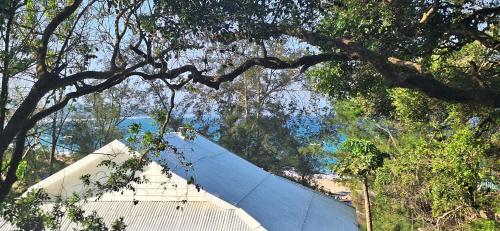 a tree with a white building in the forest at Casa Bella Ntsuty 21 in Ponta do Ouro