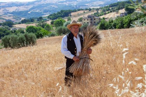 a man holding a bunch of grass in a field at Agriturismo Terra e Sapori in Campodipietra