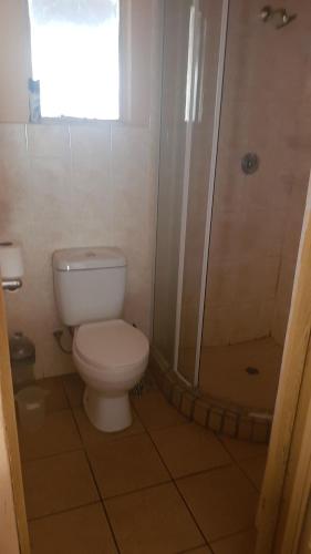 a bathroom with a toilet and a shower at Jolly Suites in Midrand