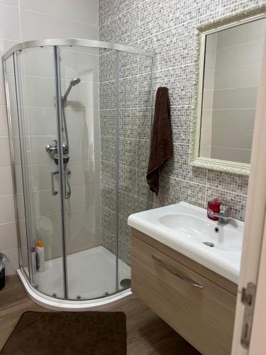 a bathroom with a shower and a sink at Magical modern apartment in Victoria