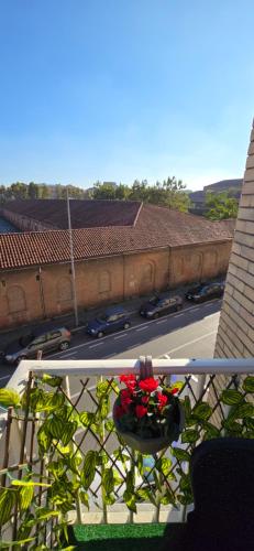 a balcony with a planter with red flowers on it at Jungle Sunshine Apartment in Alessandria