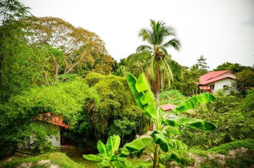 a house in the middle of a forest of trees at Istmo Beach and Jungle Bungalows in San Carlos