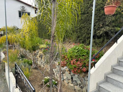 a garden with a staircase and a plant at SOFROS VALLEY HILLS CHALET in Ayios Mamas