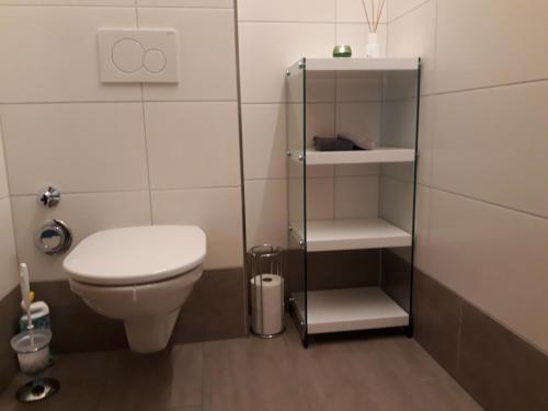a bathroom with a toilet and a glass cabinet at Apartchalet Sisi- including Saalfelden Leogang Card in Saalfelden am Steinernen Meer