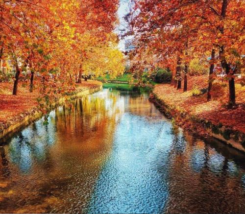 a river with autumn leaves on the sides of it at Cool Loft in Tríkala