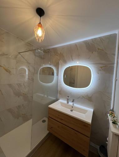 une salle de bain avec un lavabo et une douche dans l'établissement Les studios de Bron Pinel, à Bron