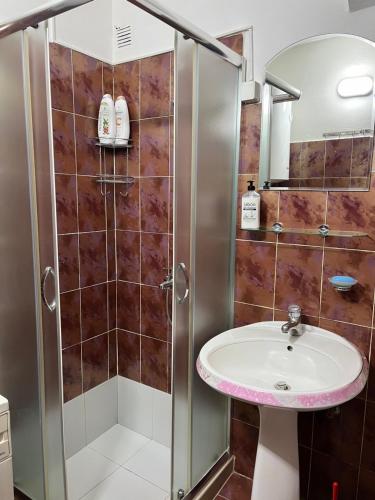Koupelna v ubytování Apartment Vračar Nikšić