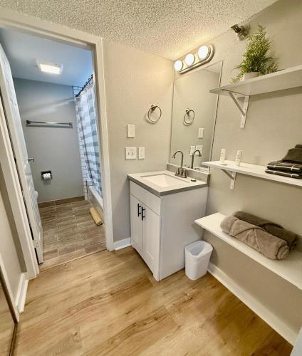 a bathroom with a sink and a mirror at Aksarben Gem near UNO in Omaha
