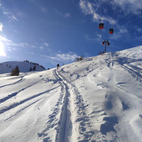 Ferienwohnung Pusteblume