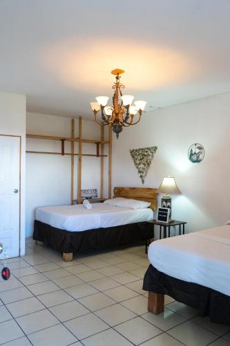 a room with two beds and a chandelier at Las Cabañitas de El Escondite in San Salvador