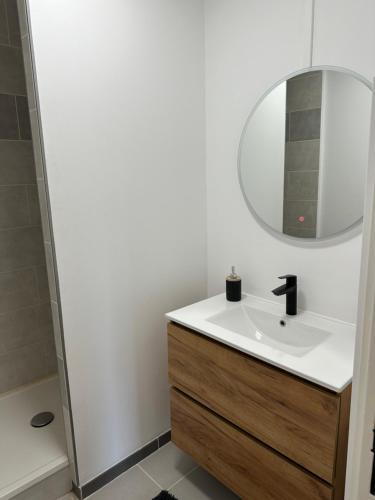 a bathroom with a sink and a mirror at Le Grand Parc 13 - 2 chambres - wifi - parking in Châteauroux