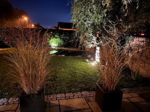 two potted plants in a yard at night at Haus am Mühlbach in Burgkirchen an der Alz