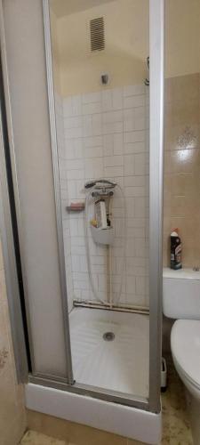 a shower in a bathroom with a toilet at Superdevoluy Le bois d'aurouze in Superdevoluy