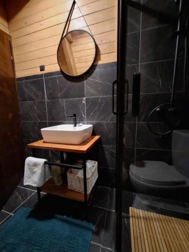 a bathroom with a sink and a mirror and a shower at Duly Chalet in Kolašin