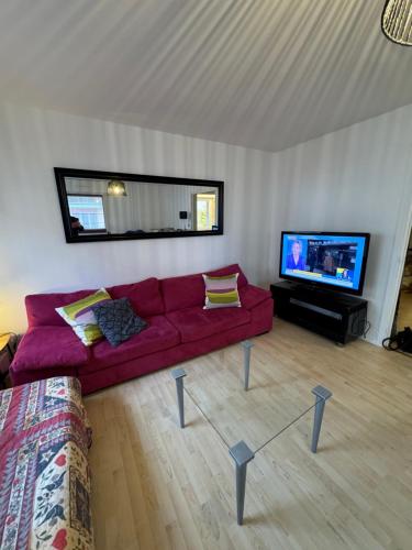 TV a/nebo společenská místnost v ubytování 4 personnes 50 m2 Idéalement Situé à Strasbourg - Avec Parking