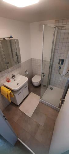 a bathroom with a sink and a shower and a toilet at FeWo Chiemgau in Gstadt am Chiemsee