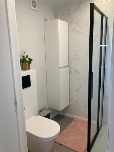 a bathroom with a toilet and a shower at Zicht op Zee Koksijde in Koksijde