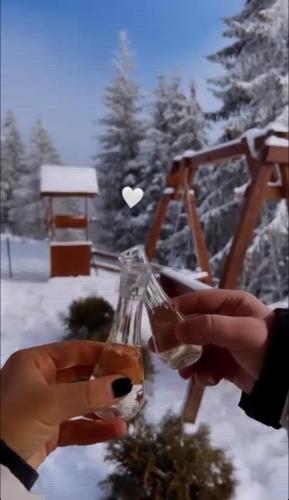 Gallery image of Vikendica Davidović in Berane