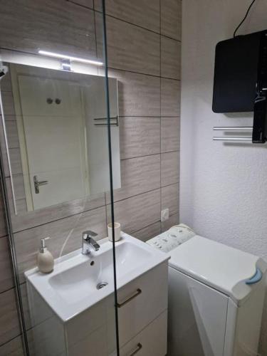 une salle de bain avec un lavabo, des toilettes et un miroir dans l'établissement Appartement aux pieds des pistes - Apollo Le Corbier, à Villarembert