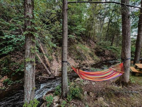 a hammock in the woods next to a river at Creek Side Cabin with Wood Fired Hot Tub and Fire Pit in New Milford