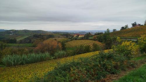 a view of a hill with a field of flowers at Il Giardino di Sofia B&B in Piozzo