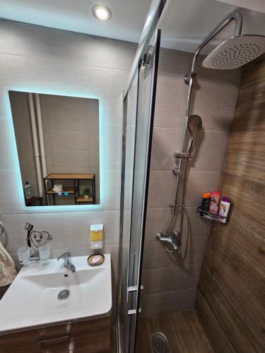a bathroom with a sink and a shower with a mirror at Modern Apartment S22 in Niš