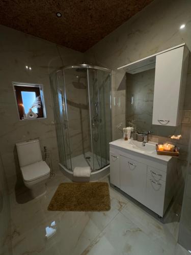 Un baño con ducha, inodoro y lavabo. en Koperkowe Domki Zakopane, en Zakopane