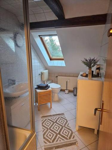 a bathroom with a toilet and a sink and a window at FeWo Wittig am Kulturbahnhof 2 in Leisnig
