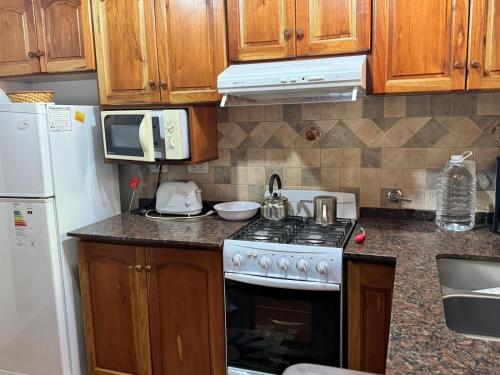 a small kitchen with a stove and a refrigerator at Okin5 in Costa del Este