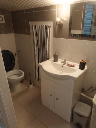 une salle de bain avec un lavabo et des toilettes dans l'établissement Logement TypeF2 meublé, à Saint-Avit-Saint-Nazaire
