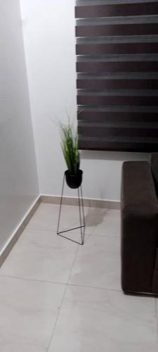 Zona de estar de Paradise C3