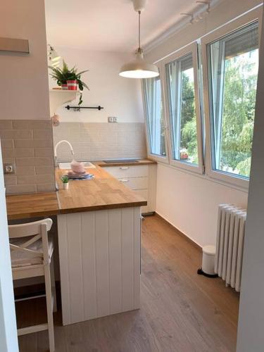 Charming Studio Retreat in the Heart of Zagreb